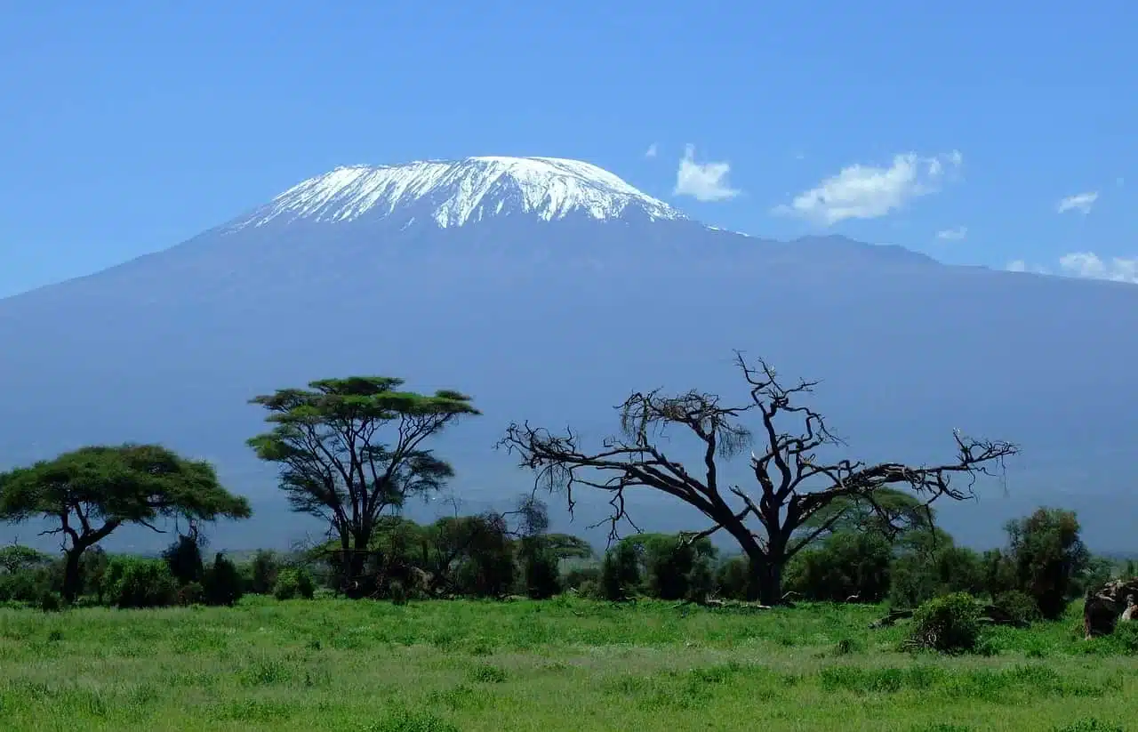 Килиманджаро в Танзании фото
