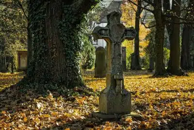 Кладбище фото