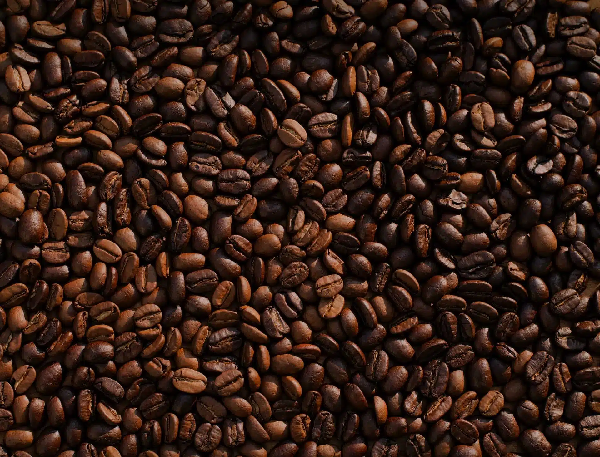 Зерна кофе фото