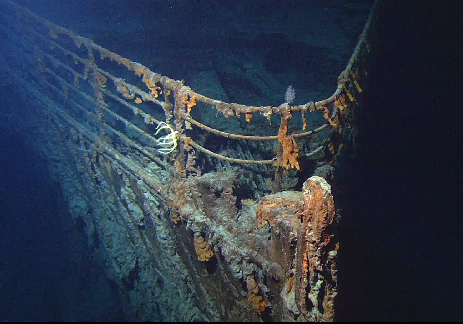 Нос "Титаника" фото