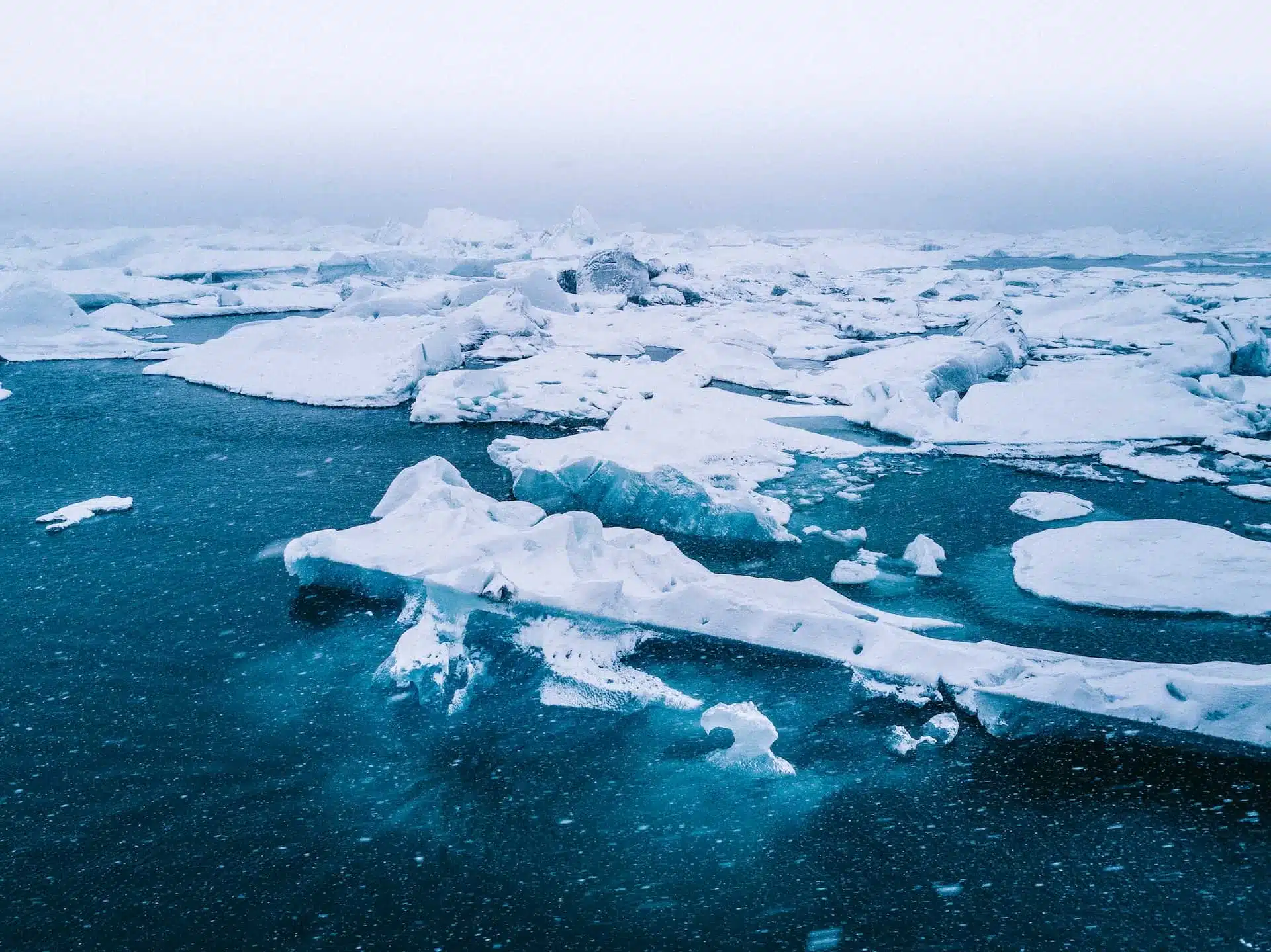 Арктика фото