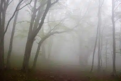 Туман фото