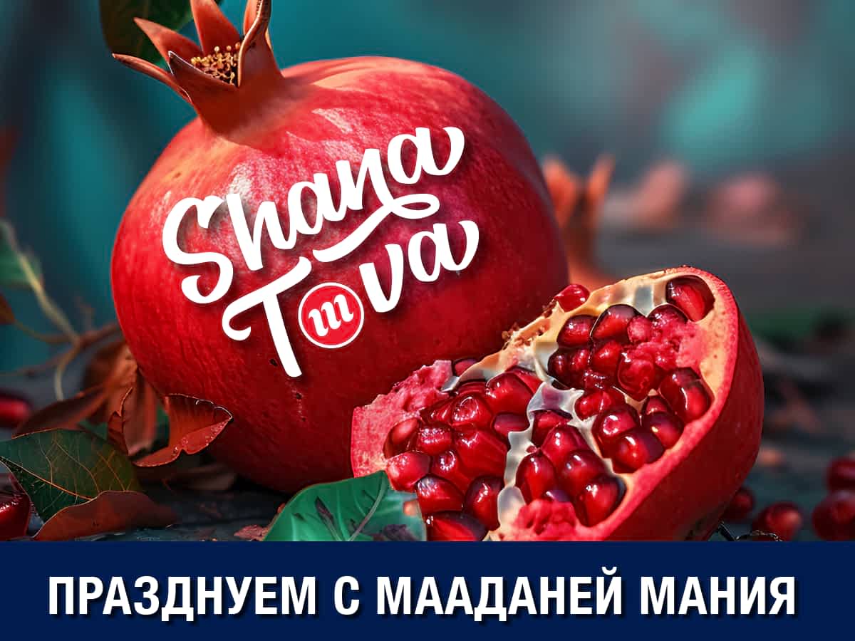 «Мааданей Мания» графика