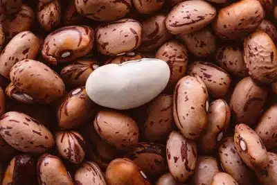 Фасоль бобы фото