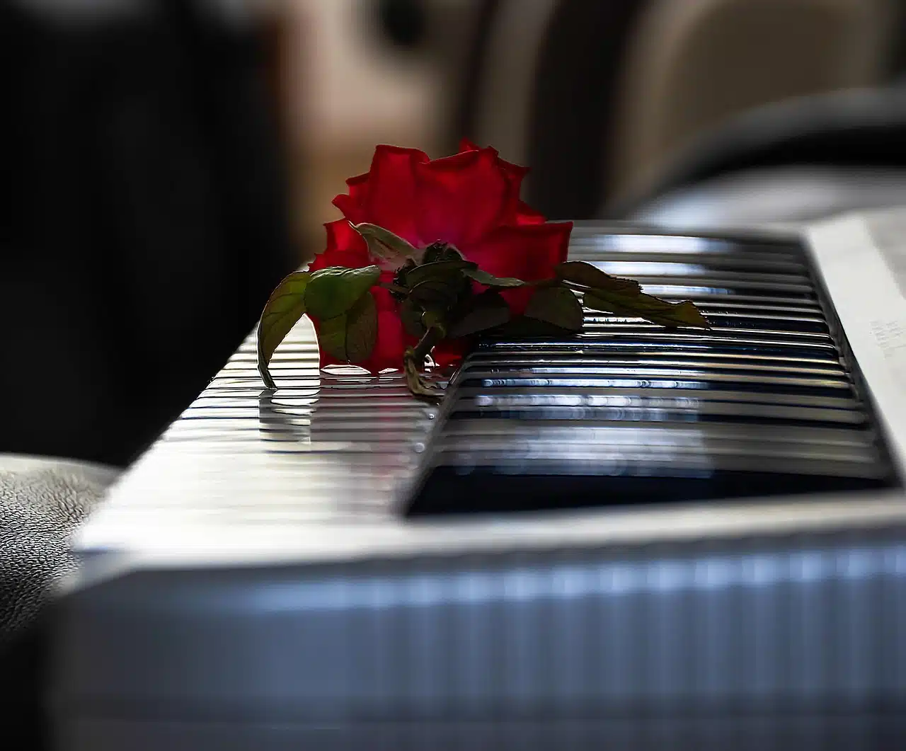 Три дня вдохновения: главный музыкальный праздник января в Эйлате 02.12.2025